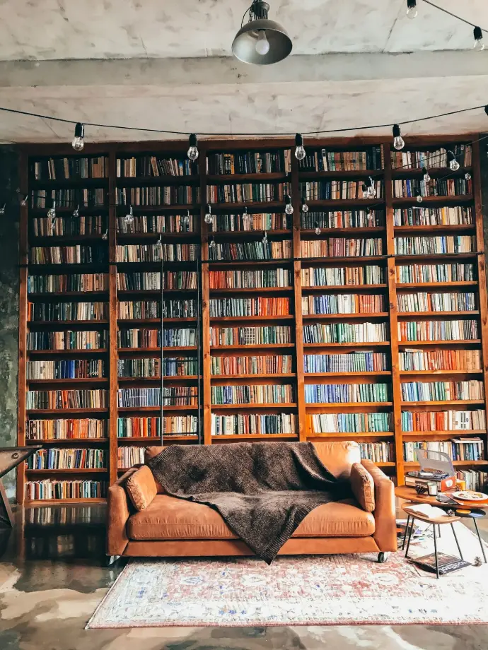 brown wooden book shelves with books